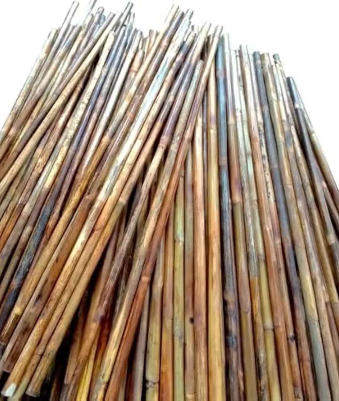 Product Showcase Image